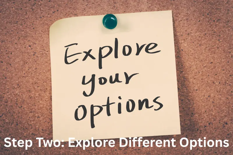 step two: explore different options