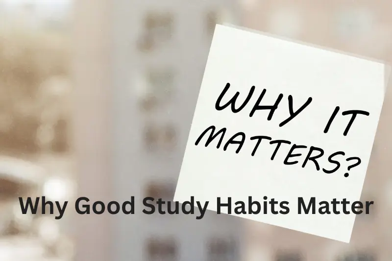 why good study habits matter